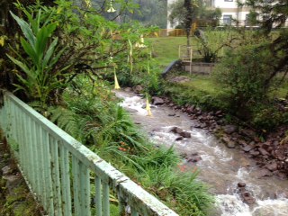 The river that runs behind the back fence.