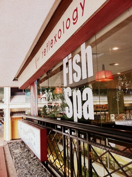 Fish Spa