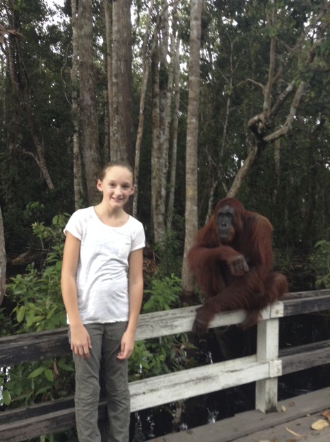 This orangutan, fortunately, didn't grab me, but she took some lady's camera and spanked one of my friends on the butt.   