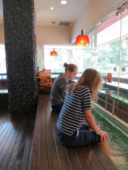 Kylee and Ally enjoying the fish spa treatment.