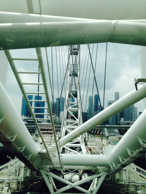 A view of Singapore behind the massive beams and cables that hold the ferris wheel together.