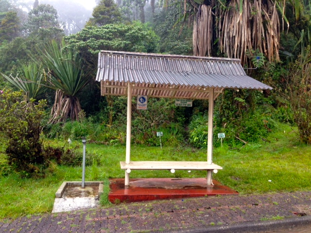 The (unoccupied) bus stop. The dark, curved line in the grass behind the bus stop is the path that the Papuans use to leave and enter the rainforest. 