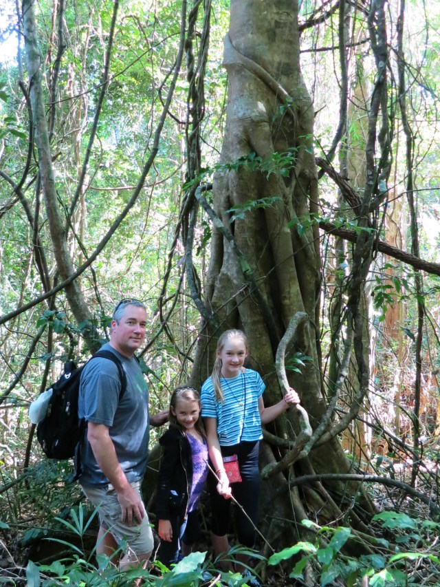 Chris and the girls hiking in Noosa Heads National Forest.  