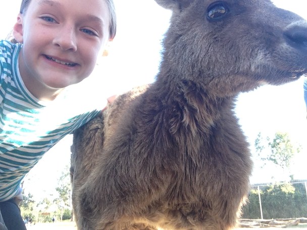 Selfie (with a kangaroo)!
