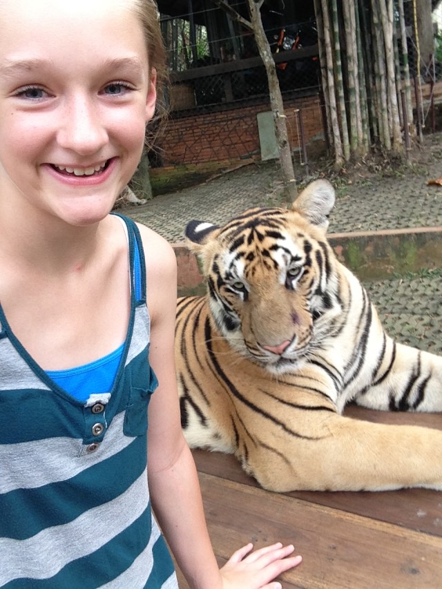 Ally with tiger