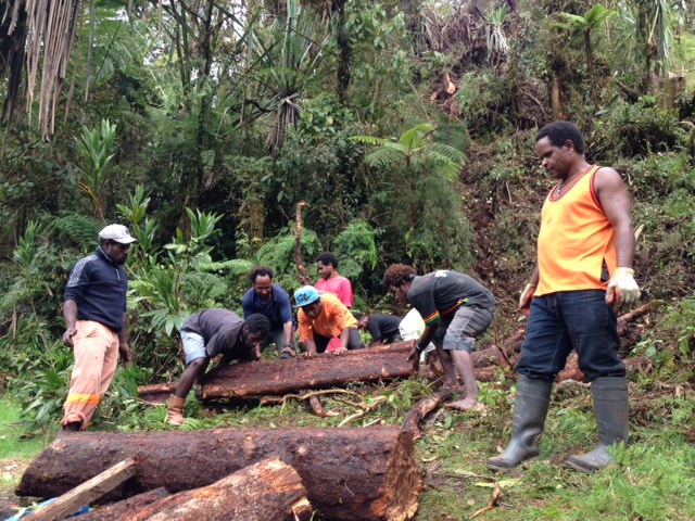 Rolling the timber down the hill to the cargo bed 