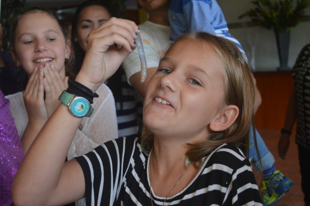 Stage 3 - Taking a good look at the wiggling tombelo and having some serious second thoughts.