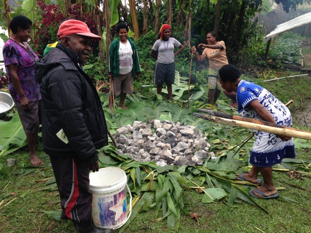 When the rocks were thoroughly heated, a group of men and women used split sticks to move them over to the pit.