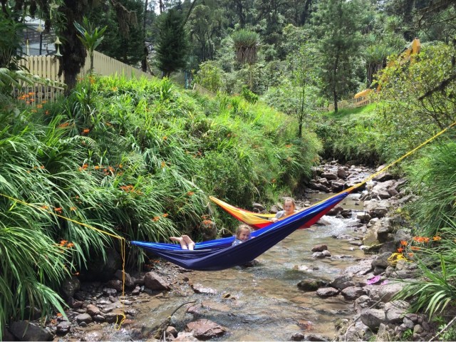 thumbnail_0ae2b3da86434151b1cbef7c699df786