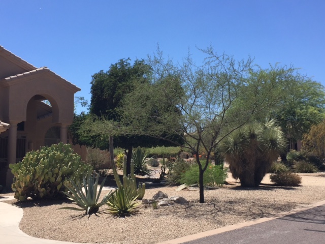 FullSizeRender-3 copy 2